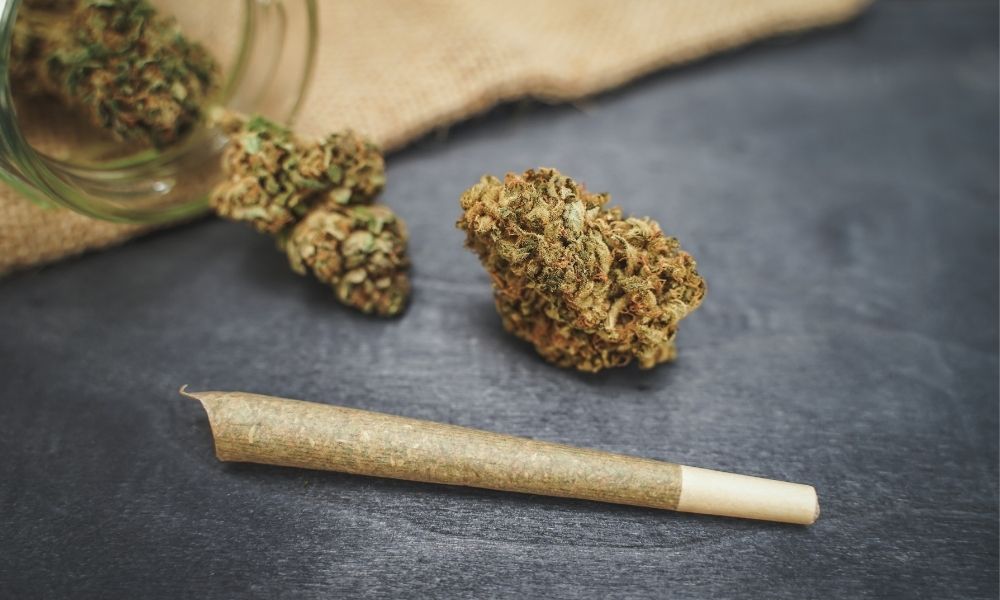 dried cbd buds with joint