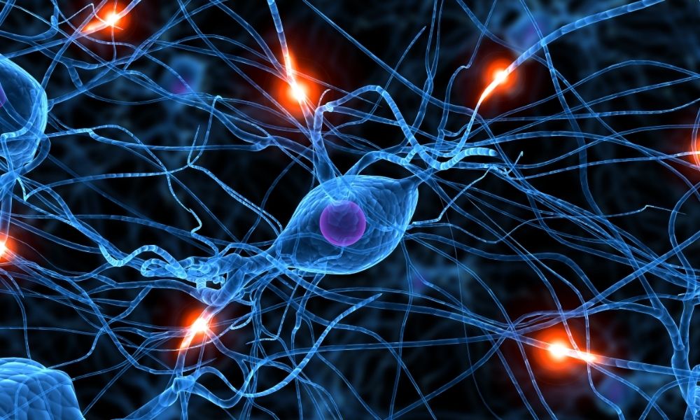 science illustration of brain neurons