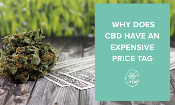 why is cbd so expensive