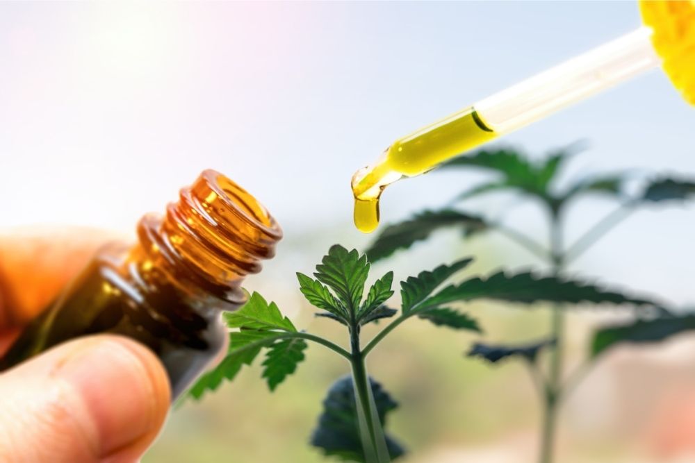 cbd oil pipette with leaves