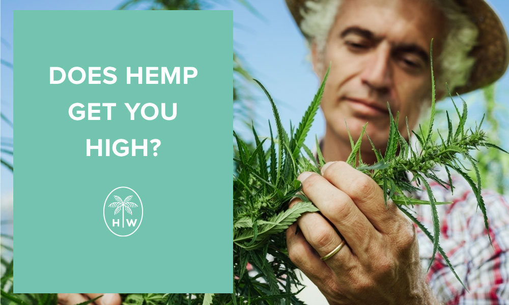 does hemp get you high
