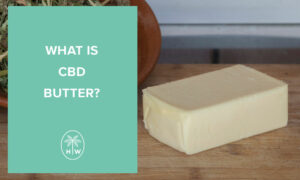cbd butter