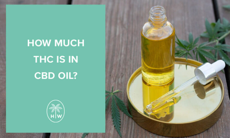 How Much THC Is in CBD Oil?: Our Guide To Hemp Product Ingredients ...