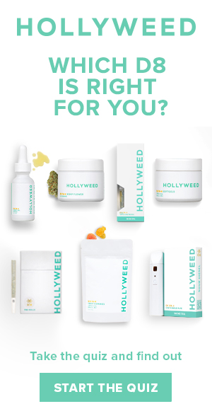 Hollyweed quiz bundle which is right for you