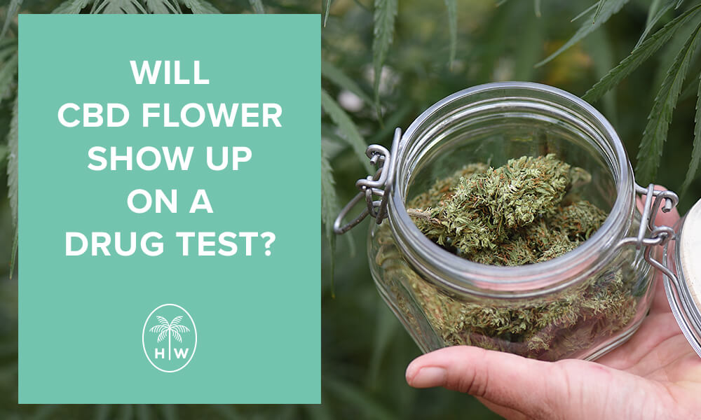 cbd flower drug test