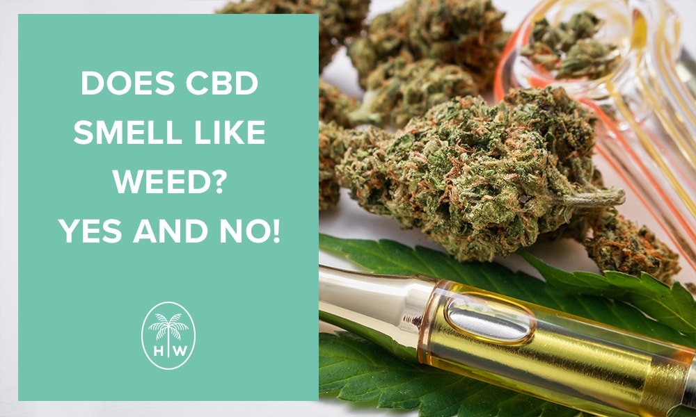 does cbd smell like weed
