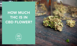 how much thc is in cbd flower