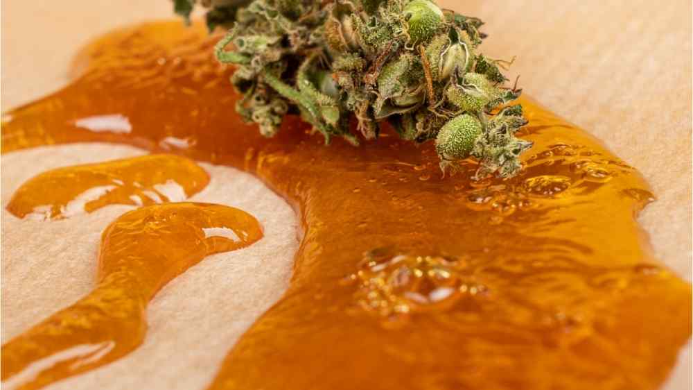 cannabis nug on wax