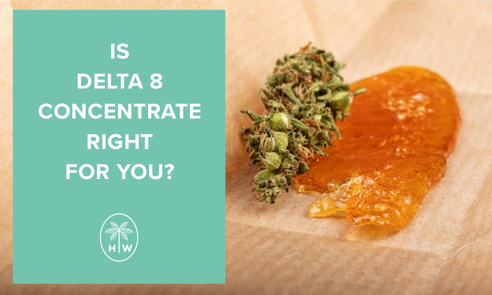 is-delta-8-concentrate-right-for-you
