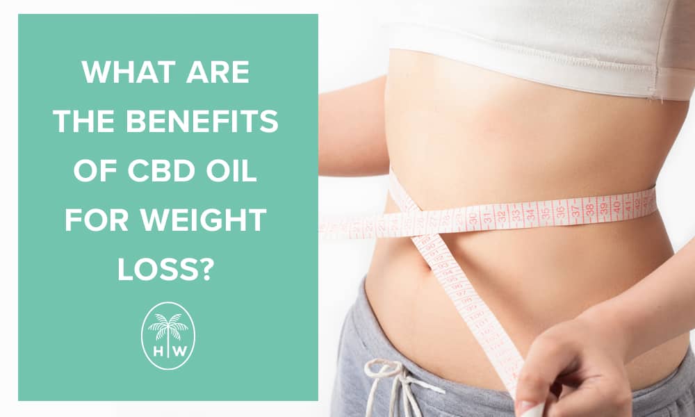 cbd oil for weight loss