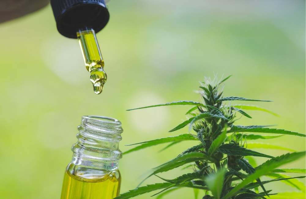 CBD-being-dropped-into-a-tincture-bottle