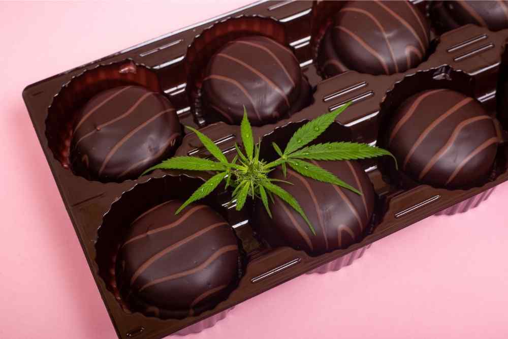 hemp edibles in tray with leaves
