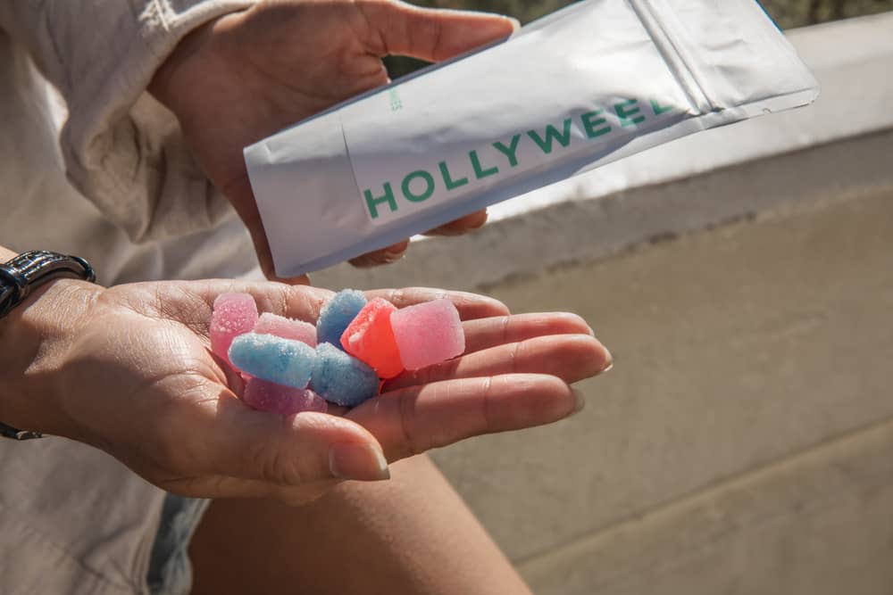 hollyweed cube gummies in hand