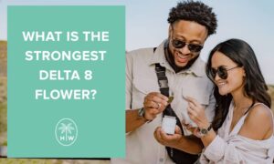 strongest delta 8 flower