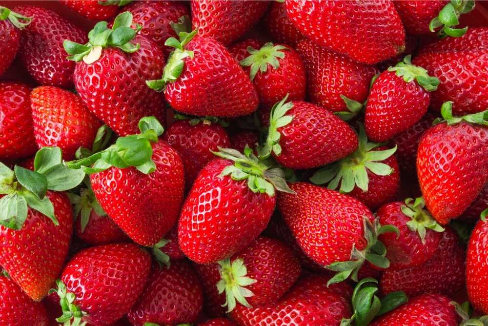 closeup of fresh strawberries